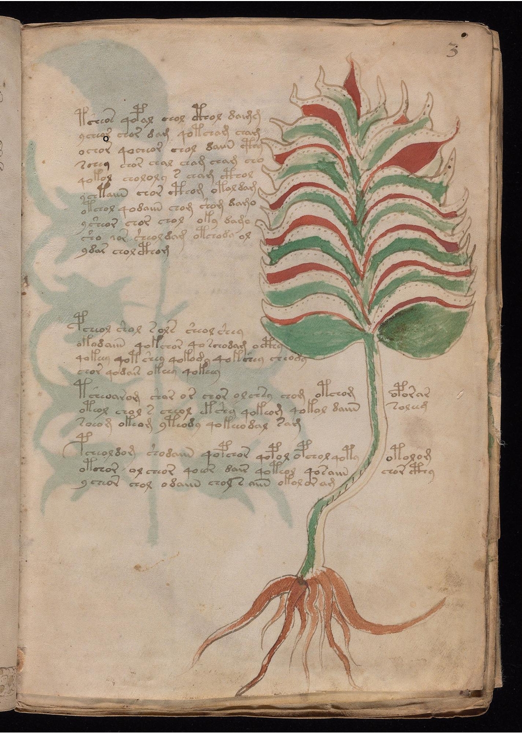 Original manuscript of Folio 3r